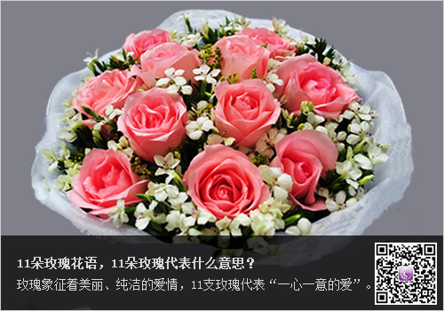 11朵玫瑰花语，11朵玫瑰代表什么意思？