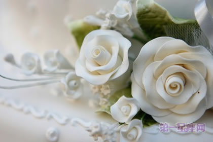 【恋爱花语】什么花代表恋爱？