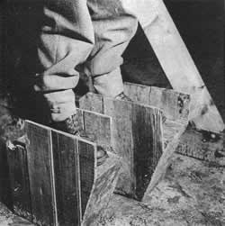 纳粹确定处理犹太人的最后解决方案--种族灭绝