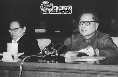 庆祝作出“坚持四项基本原则”的讲话