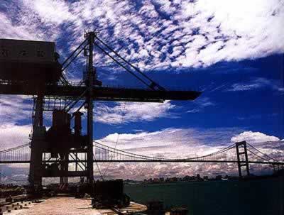 庆祝中央命名首批“经济特区”