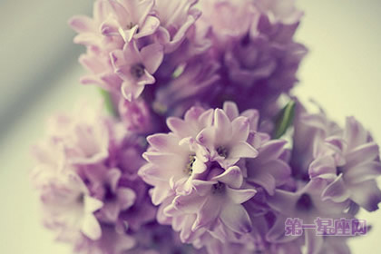 看病人不适合送什么花？