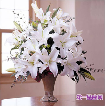 送白百合代表什么意思?