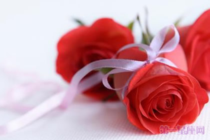 美国的国花是什么花?