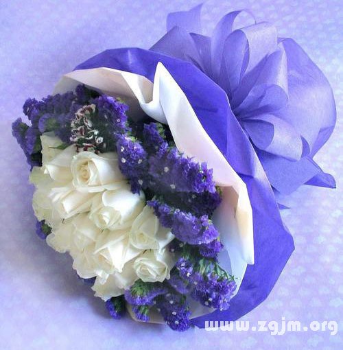 19朵白玫瑰的花语