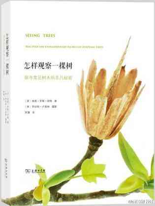 怎样观察一棵树