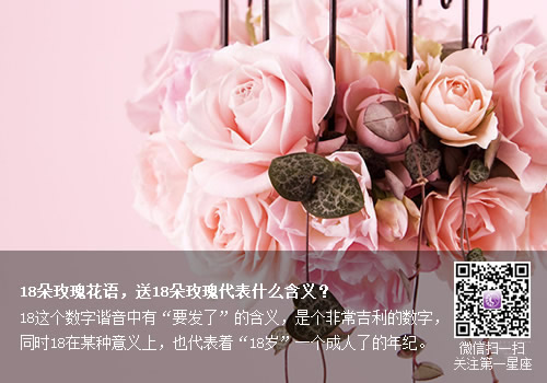 18朵玫瑰花语,送18朵玫瑰代表什么含义?